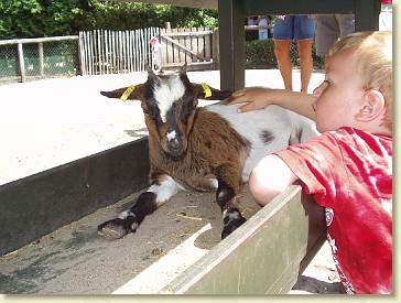 20060715-03 Geitje aaien